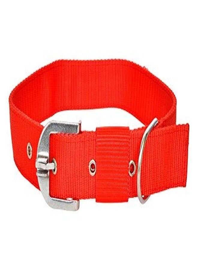Pups&Pets Strong Nylon Everyday Dog Collar Leash Set Color - Red Small. - Image 5